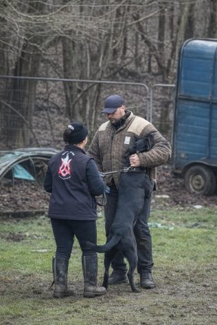 Protection Training