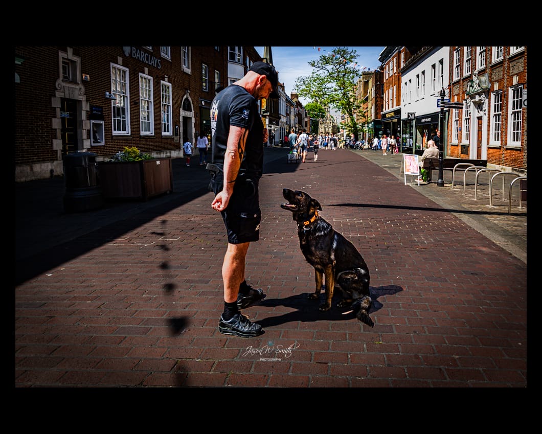 How Do I Teach My Dog to Sit and Wait at Kerbs?