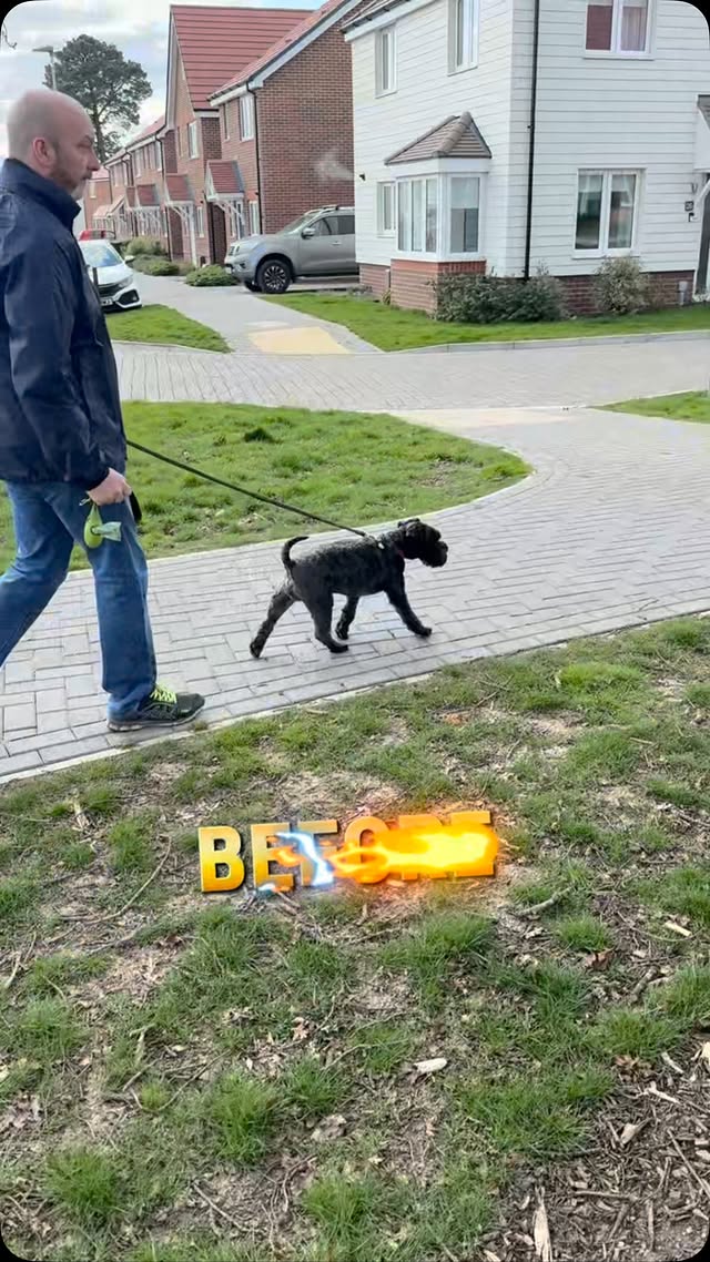 How Do I Keep My Dog Focused on Me During a Walk?