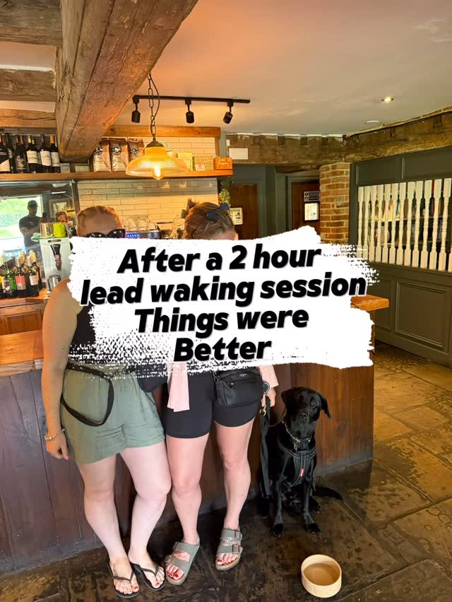 Walks Without the Woes: Enjoying Every Stroll with Your Dog