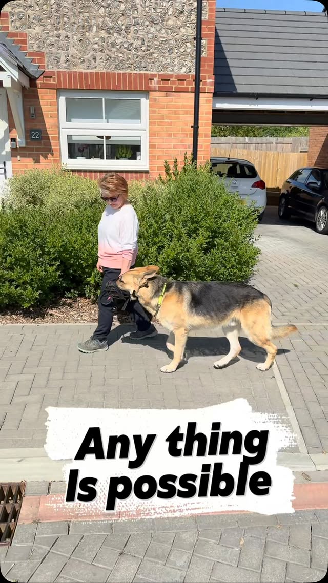 How Do I Stop My Dog Pulling Towards Other People on Walks?