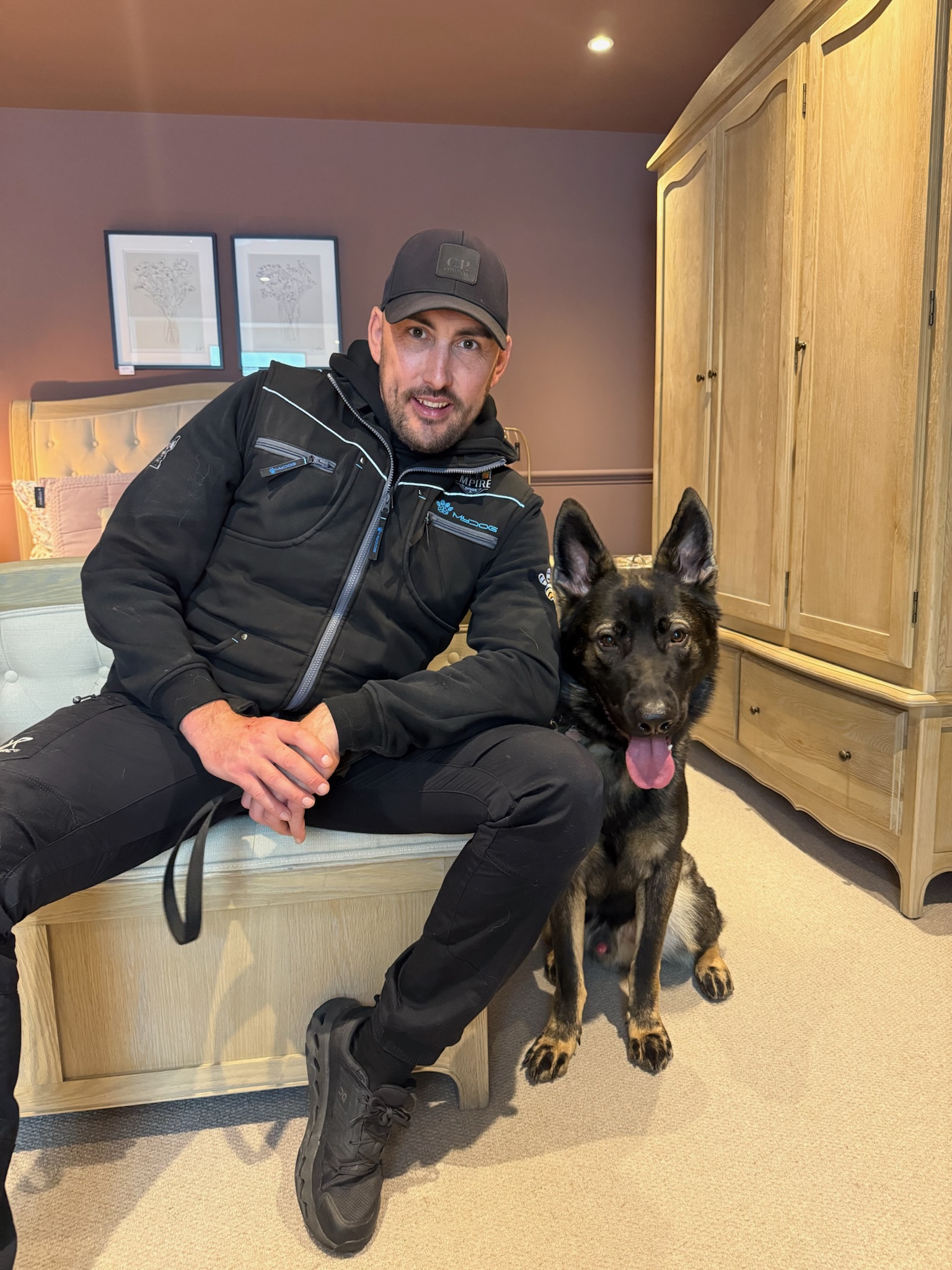 Starting From Scratch: Training an Adult Dog in West Sussex