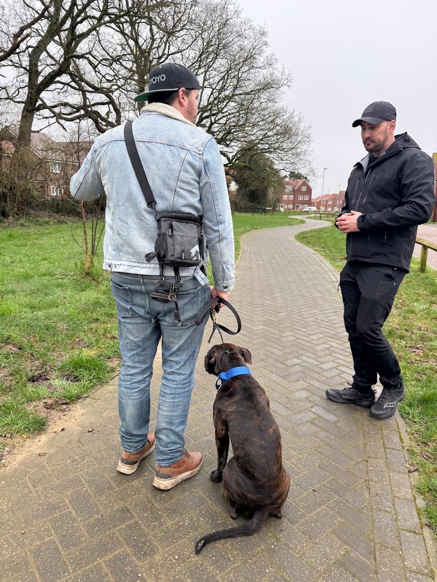 How Do I Stop My Dog Jumping Up at Strangers on Walks?