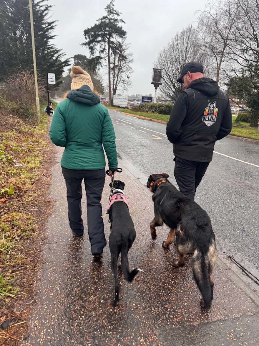 How Do I Make My Dog Enjoy Walks Instead of Dreading Them?