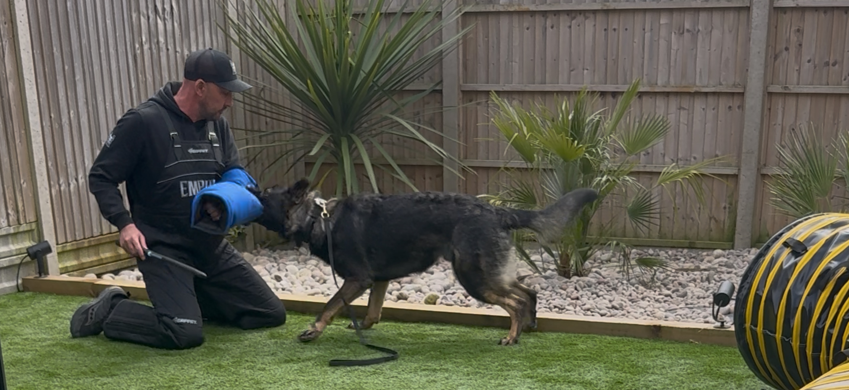 How Do I Train My Dog When I Have Very Little Time Each Day?