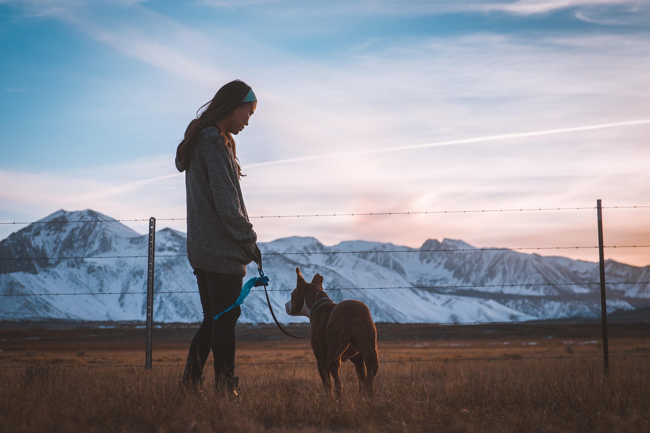 Short Leads vs Long Lines: Which Is Right for Your Dog?