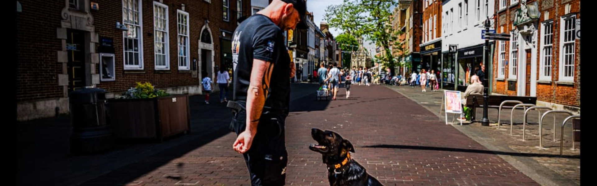 Positive Reinforcement vs Punishment: What Works Best for Dogs?